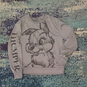 SALE 💰 Thumper Gray Crewneck Long Sleeve with Graphic
